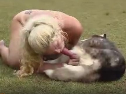 Night Bestiality At The Farm Animal Porn Sex Videos