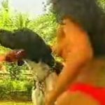 Brasileira morena se acabando de chupar o pinto do cachorro