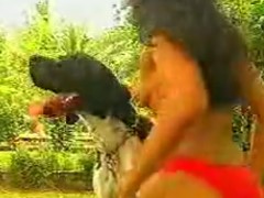Brasileira morena se acabando de chupar o pinto do cachorro