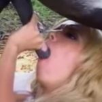 Garota fazendo boquete no pau do cavalo