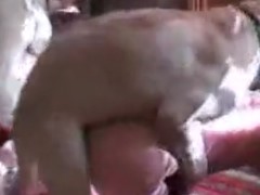 Mulher dando o cu para o cachorro