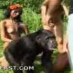 Mulheres fazendo sexo com vários animais diferentes