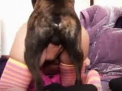 Video amador do WhatsApp da mulher dando pro cachorro
