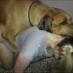 Marido filma com celular novinha tentando sexo com cachorro