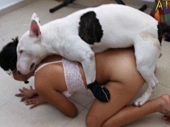 Porno brasileiro com mulher chupando a rola e dando pro cão