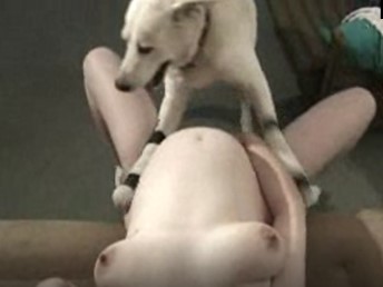 Marido gravando esposa gravida fazendo sexo com cachorro