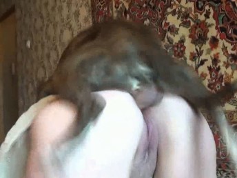 Cachorro estuprando mulher fodendo o cu dela com violência