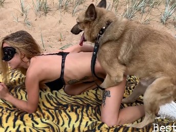 Cachorro vira lata caramelo fazendo sexo com um novinha